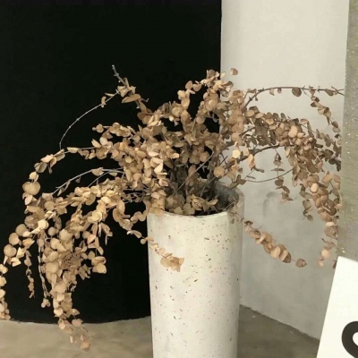 兽设角色性格塑造FurryQQ群